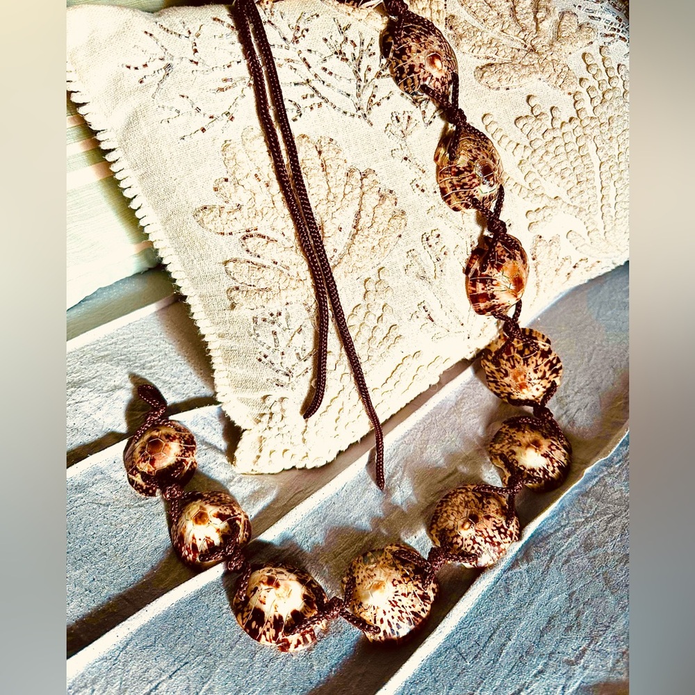 Cowrie Shell Belt - image 8